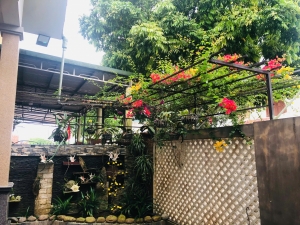 BIỆT THỰ BIỂN MỸ KHÊ – SIÊU PHẨM ĐẲNG CẤP NGHỈ DƯỠNG VÀ ĐẦU TƯ